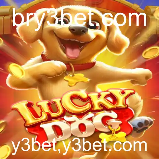 LuckyDog: Um Mergulho no Mundo do Entretenimento Interativo